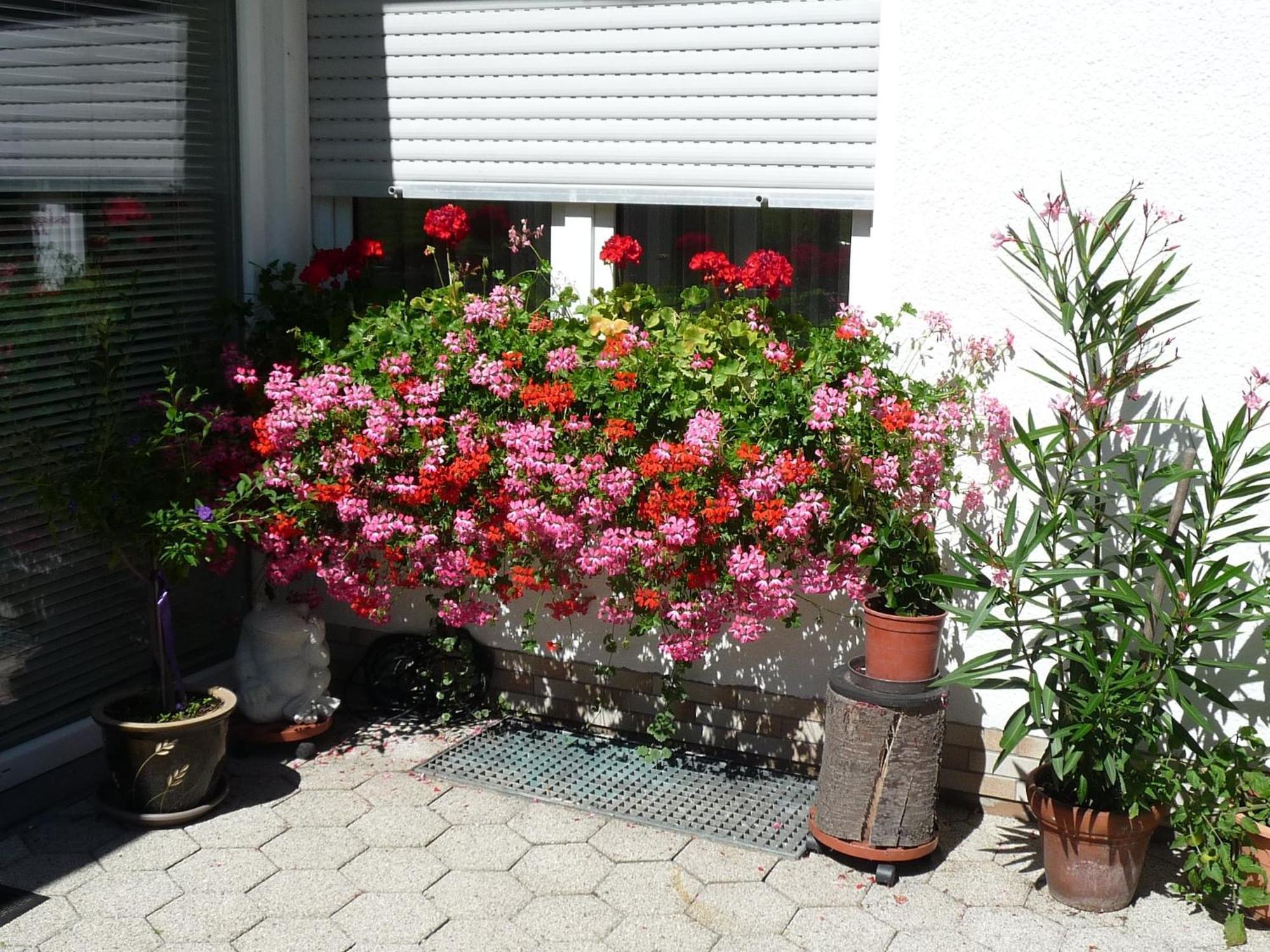 Graceful Apartment In Velmede With Garden Bestwig Ngoại thất bức ảnh
